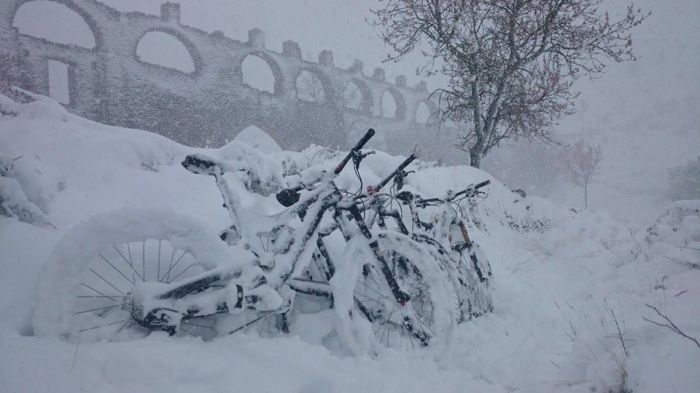 12801698_583020061856697_5212229269252368934_n