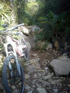 537949_4631722443722_313893436_n